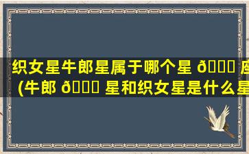 织女星牛郎星属于哪个星 🐞 座(牛郎 🐘 星和织女星是什么星座的星体)